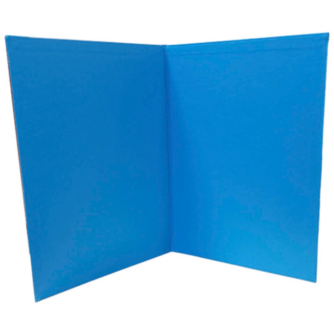 Папка А4 адресная голубая