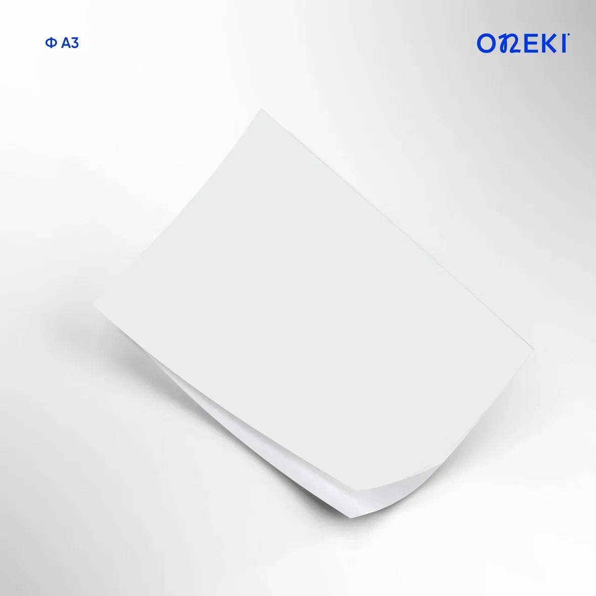 Фотобумага ДВУХСТОРОННЯЯ МАТОВАЯ, 120 грамм А4, ON-4120-MD (100 шт/уп)